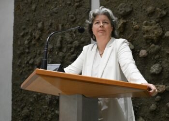 VVD MP quits lobby group board over conflict of interest claims