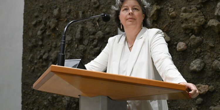 VVD MP quits lobby group board over conflict of interest claims