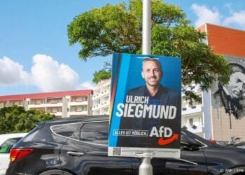 Prognoses: AfD is grote winnaar bij verkiezingen Saksen-Anhalt