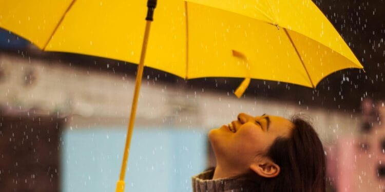 Het is na vandaag even gedaan met de zomer: heel wat regen en stevige wind op komst