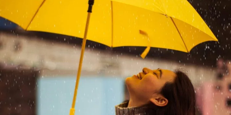Het is na vandaag even gedaan met de zomer: heel wat regen en stevige wind op komst