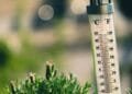 Augustus wereldwijd warmste maand ooit, West-Europa beleefde recordzomer