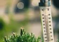Augustus wereldwijd warmste maand ooit, West-Europa beleefde recordzomer
