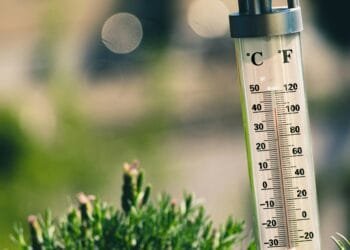 Augustus wereldwijd warmste maand ooit, West-Europa beleefde recordzomer