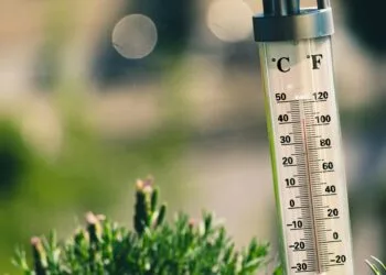 Augustus wereldwijd warmste maand ooit, West-Europa beleefde recordzomer