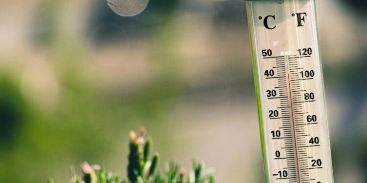 Augustus wereldwijd warmste maand ooit, West-Europa beleefde recordzomer