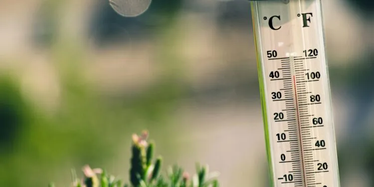 Augustus wereldwijd warmste maand ooit, West-Europa beleefde recordzomer