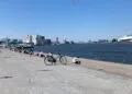 Body of man who fell off boat in Amsterdam found
