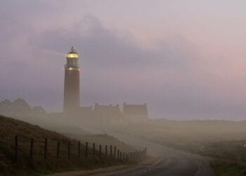 Texel police begin DNA testing for dozens of unidentified bodies