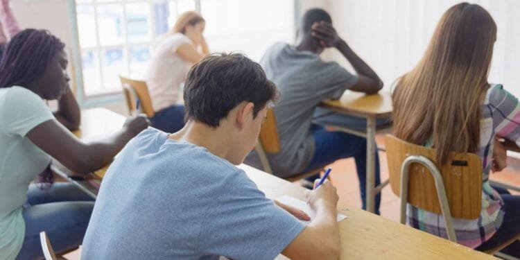 Nearly a quarter of children in NL have divorced parents