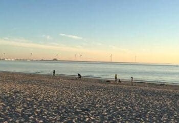 Zeeland warns of oil pollution on beaches