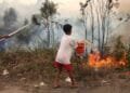 Bijna half miljoen doden verwacht door super-El Niño
