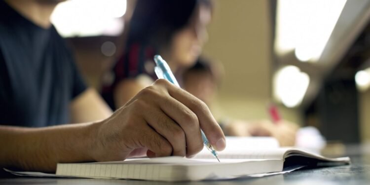 Groningen University launches Frisian language degree