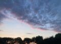 The week will be sunny, with a bit of rain