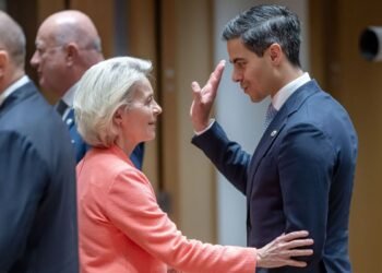 Netherlands demands hundreds of billions in EU budget cuts