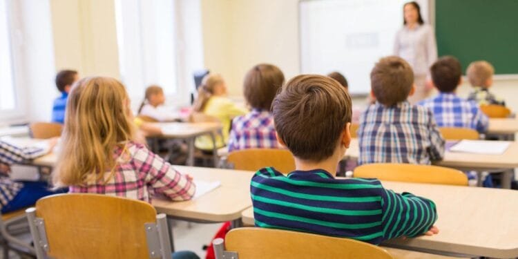 Dutch schools must make space for languages spoken at home
