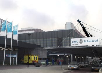 Clitoris reconstruction surgery successful at Radboudumc