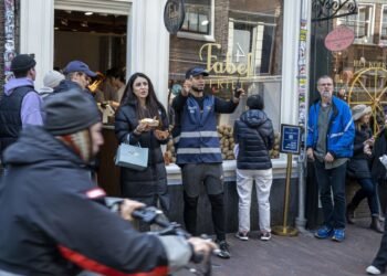 Fries with that? Homes near Amsterdam TikTok queue sell for less